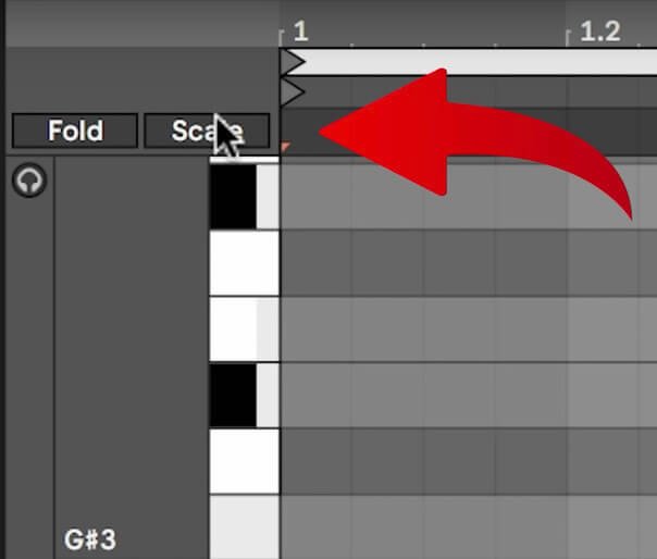 SCALE button in Ableton Live
